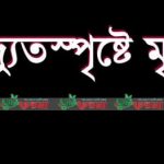 পাবনার দাপুনিয়ায় বিদ্যুৎস্পৃষ্টে মা-মেয়ের মৃত্যু