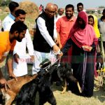 পাবনায় মুজিববর্ষে ঘর প্রাপ্তদের মাঝে ছাগল ও বিভিন্ন জাতের বীজ বিতরণ