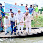 সাঁথিয়ায় ঘুঘুদহ ছোট বিলে পোনা মাছ অবমুক্ত